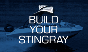 Build Your Stingray