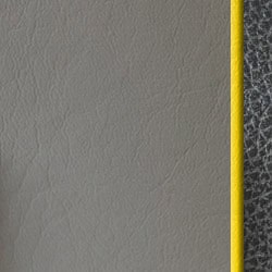 stingray-boat-color-swatch-interior-gray-coal-yellow-piping
