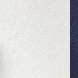 stingray-boat-color-swatch-upholstery-white-blue