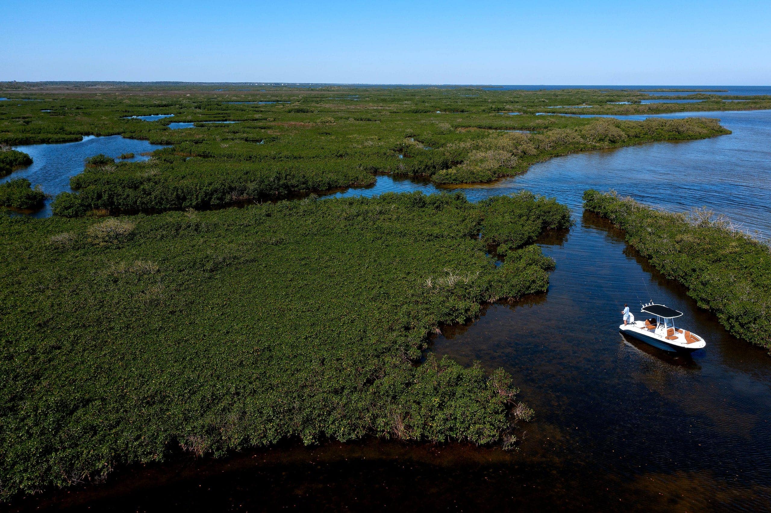 A Stingray center console at rest in a mangrove channel, seen from the air
