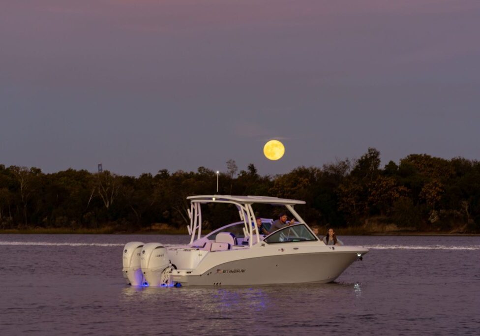 Stingray-November'25-Previews-CameronWilder-148