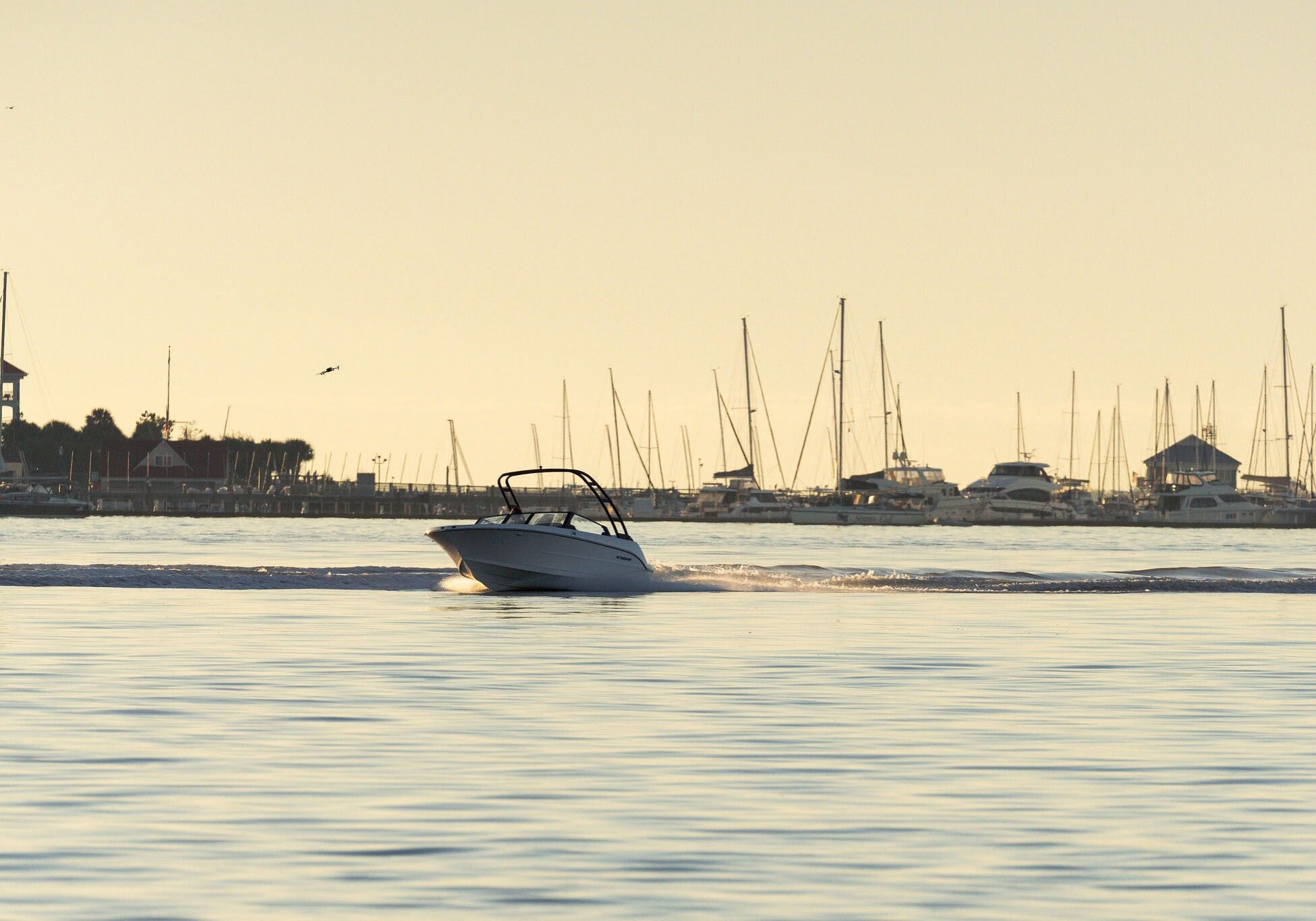 StingraySelects-CLW-035