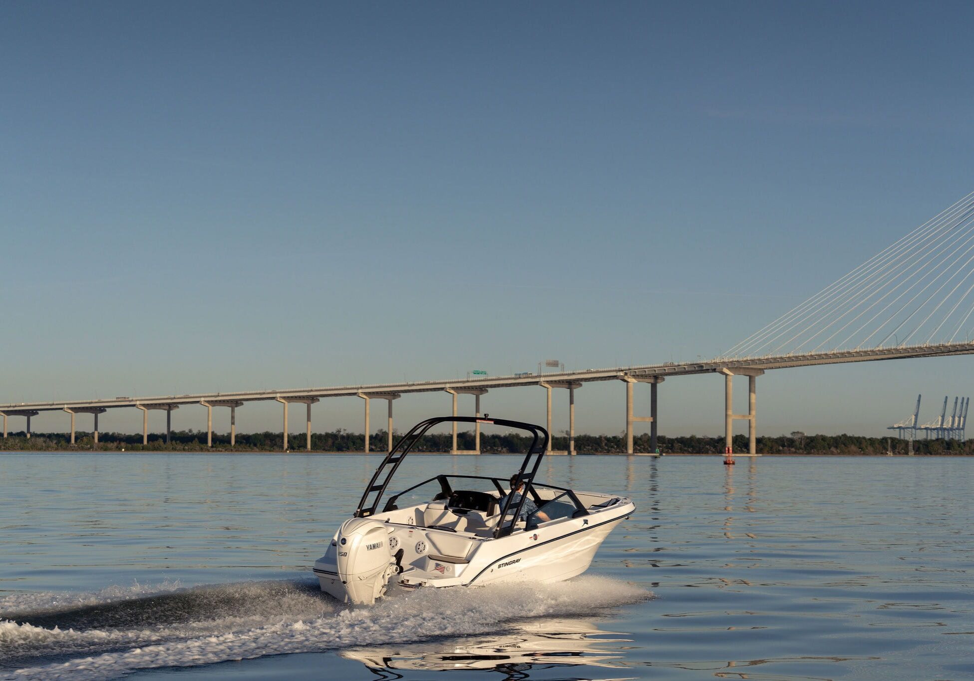 StingraySelects-CLW-053