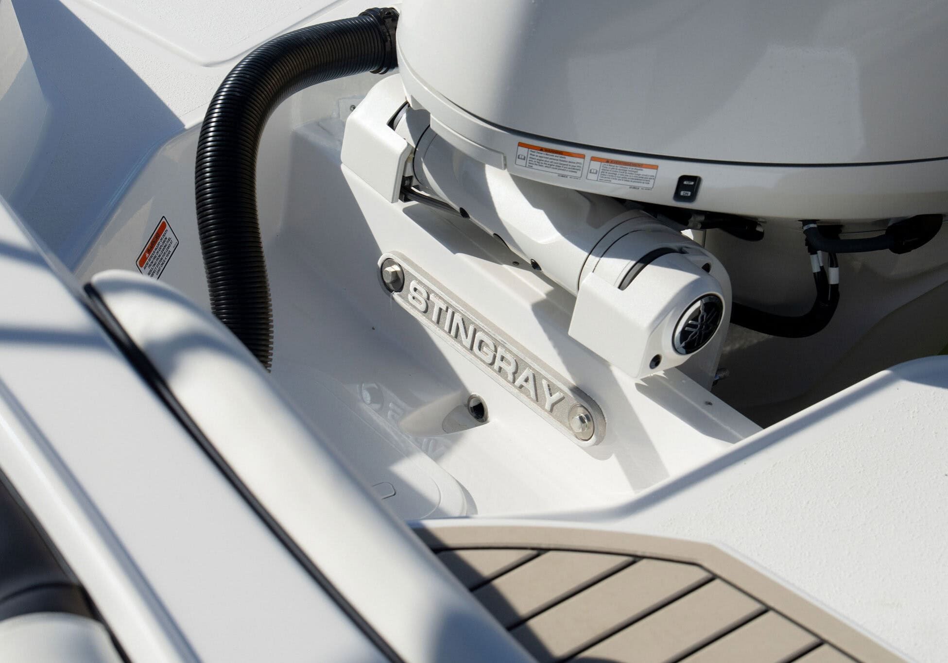 StingraySelects-CLW-0692