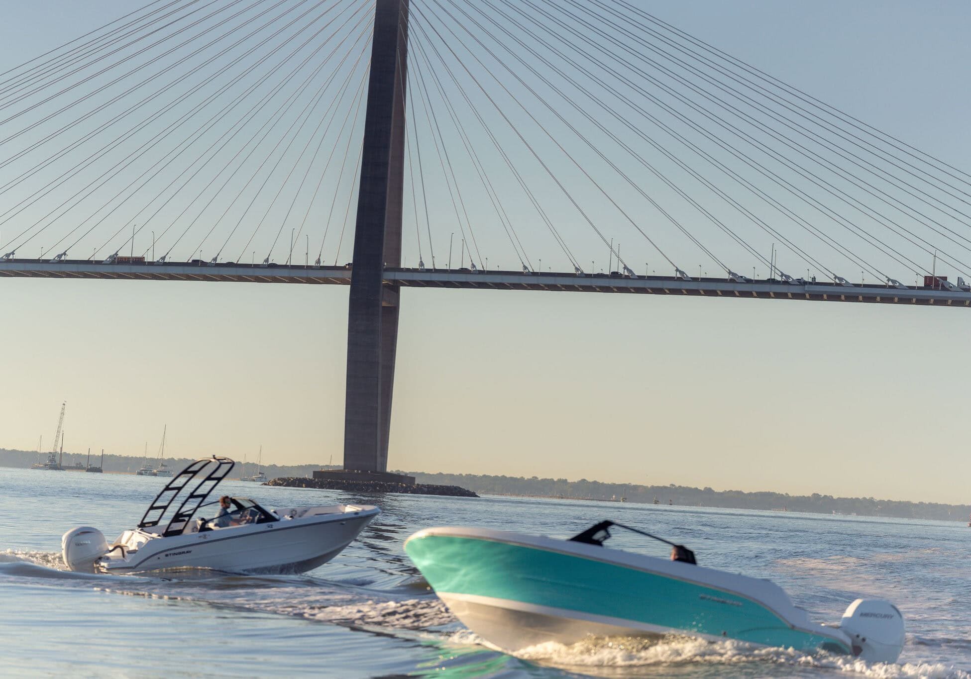 StingraySelects-CLW-097