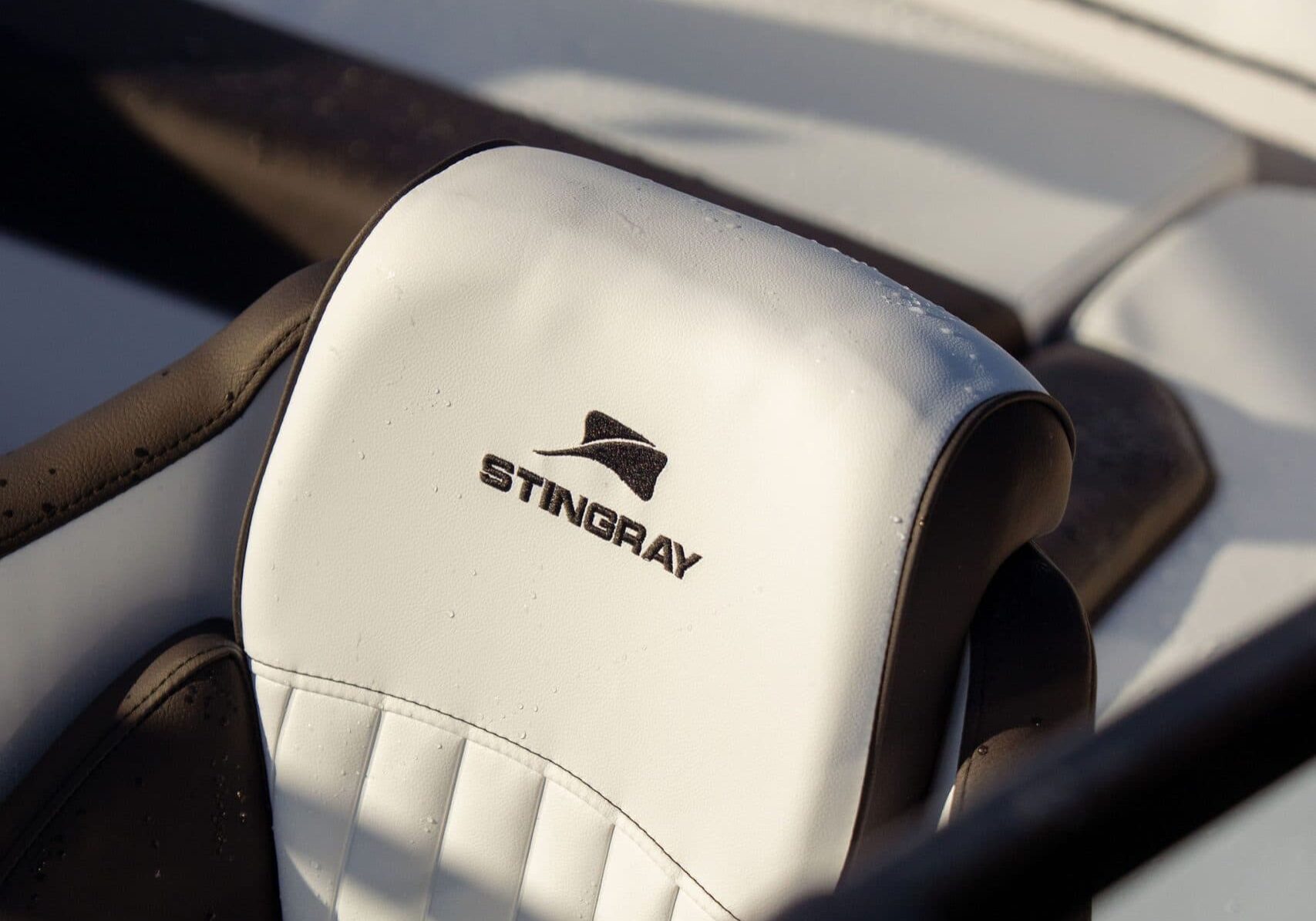 StingraySelects-CLW-215