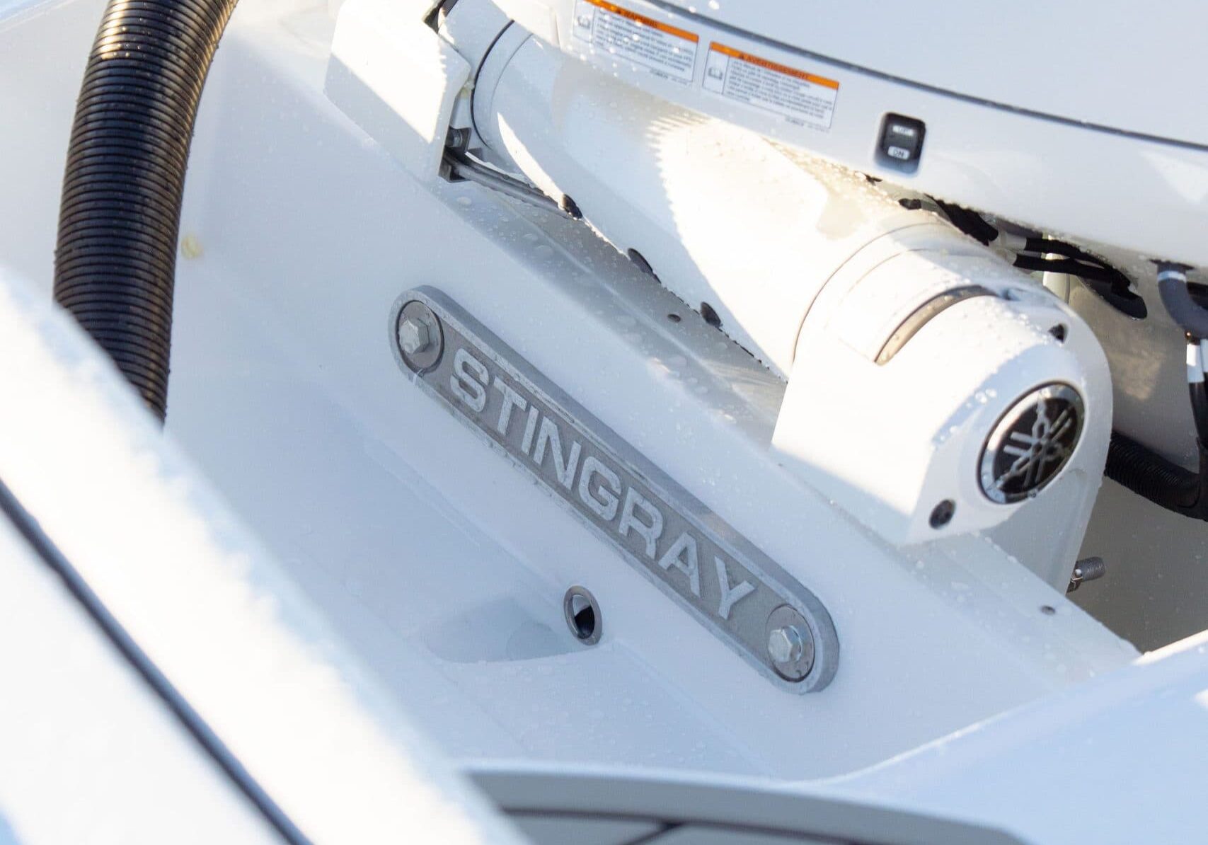 StingraySelects-CLW-216