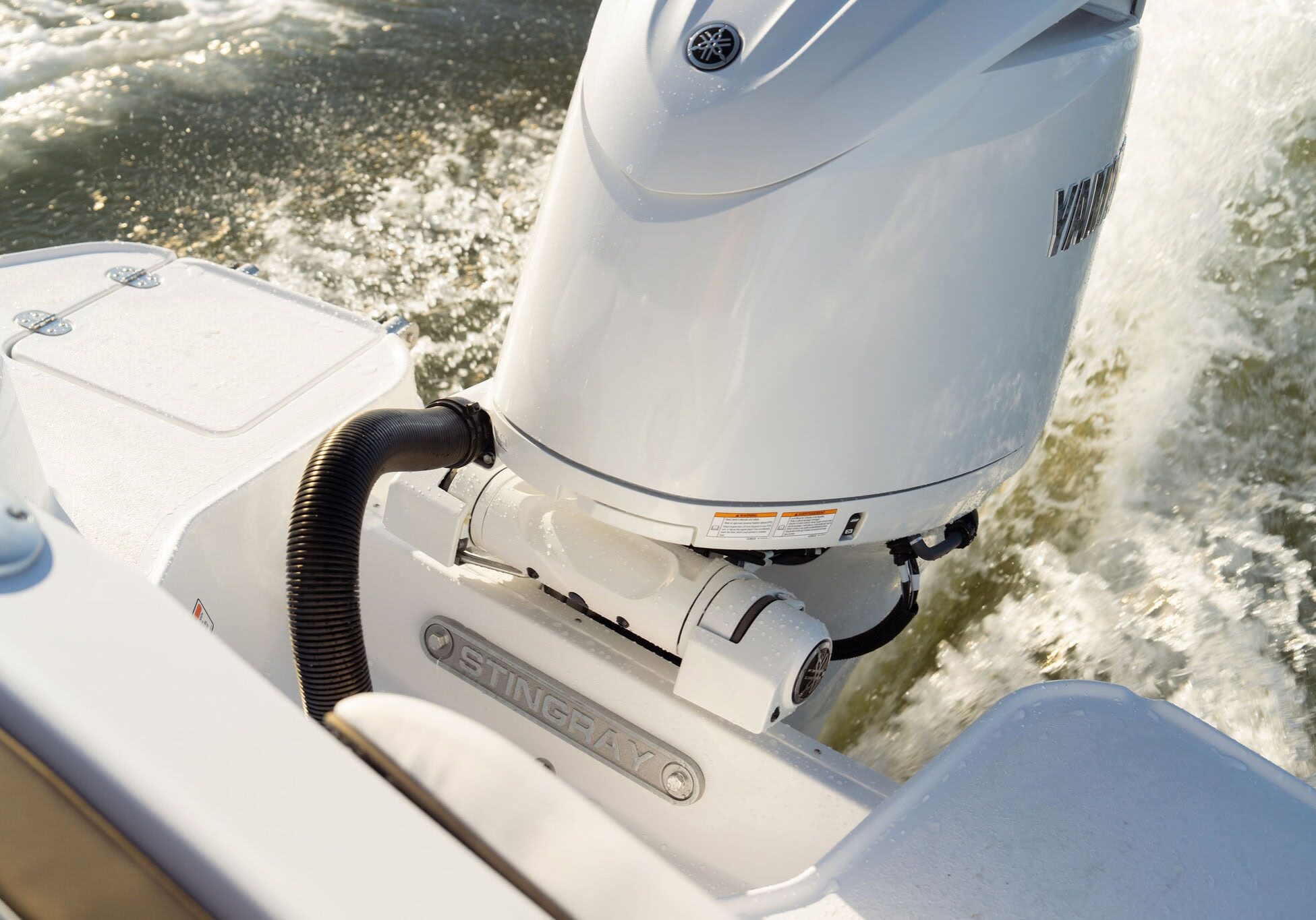 StingraySelects-CLW-242