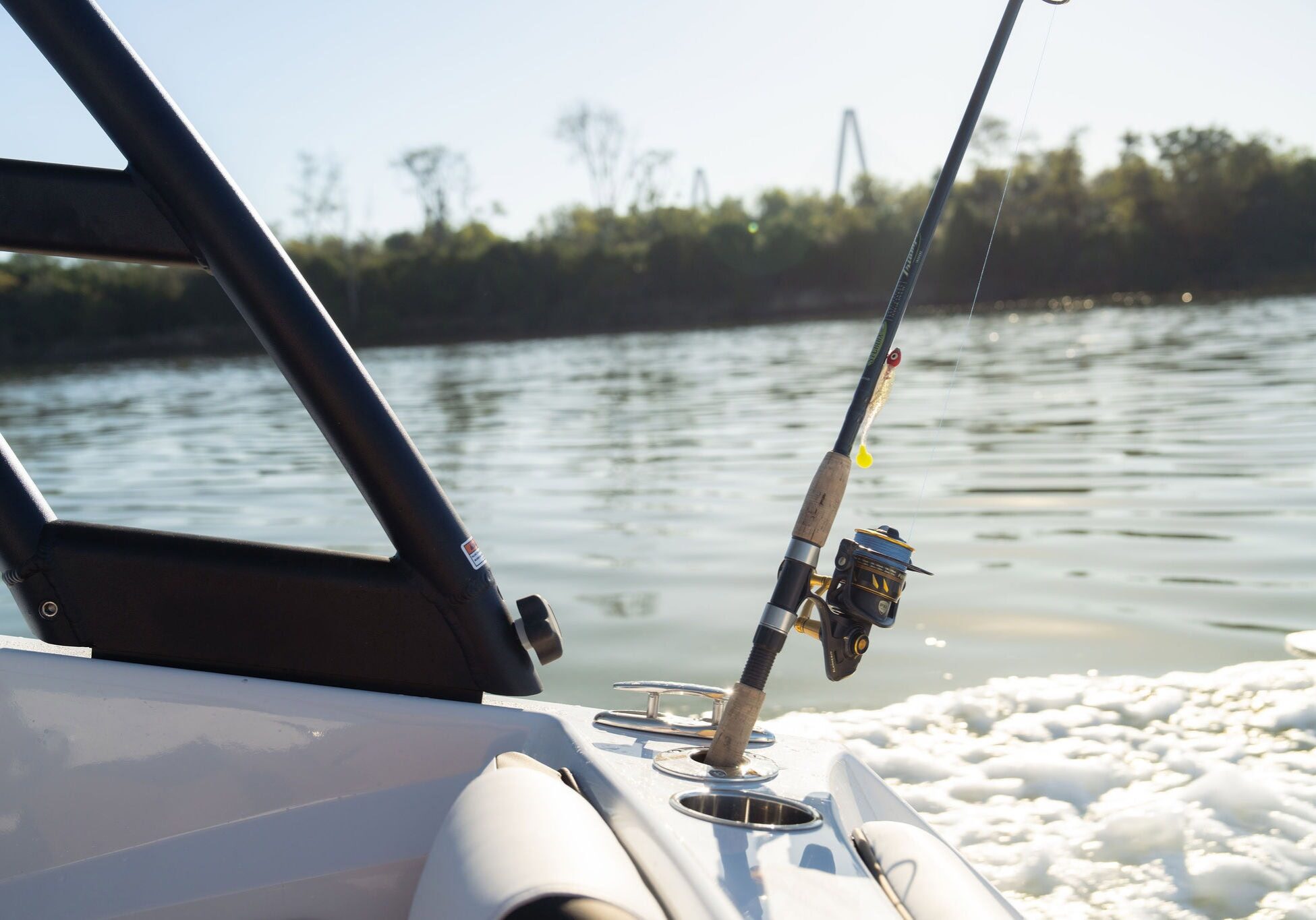 StingraySelects-CLW-249